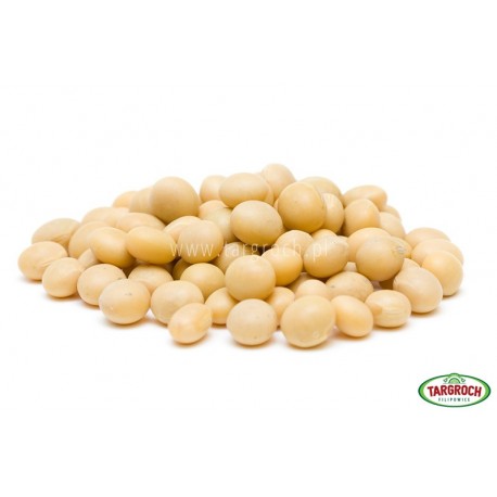 Soja ziarno