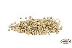 Kasza gryczana niepalona