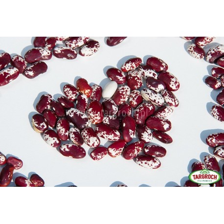 Fasola kolorowa - orzeł