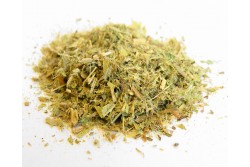 Gojnik (herbata górska)