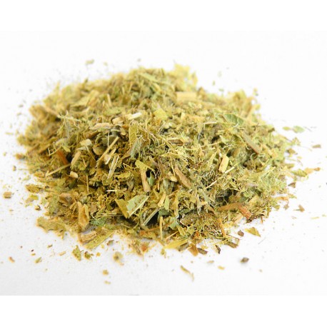 Gojnik (herbata górska)