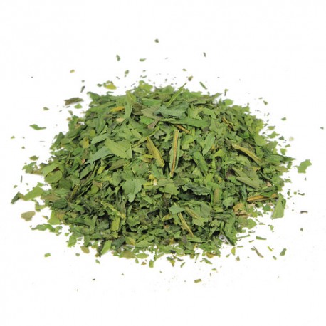 Czosnek niedźwiedzi suszony 