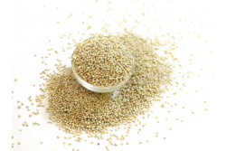 Quinoa - komosa ryżowa