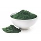 Spirulina w proszku 