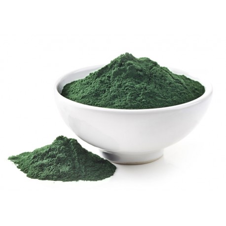 Spirulina w proszku 