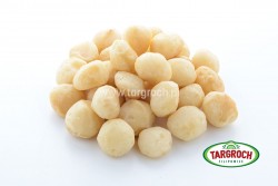 Orzechy macadamia
