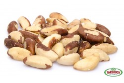 Orzechy brazylijskie