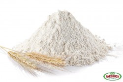 Mąka orkisz