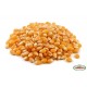 Popcorn ziarno